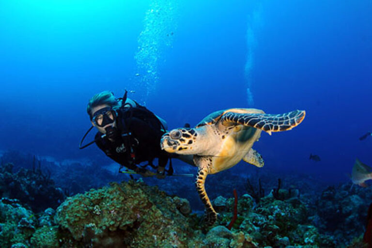 scuba diving